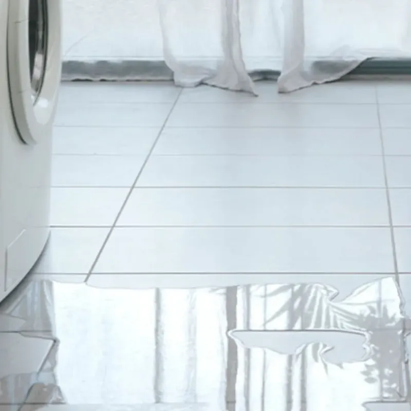 Appliance Leak Cleanup in Webster, TX