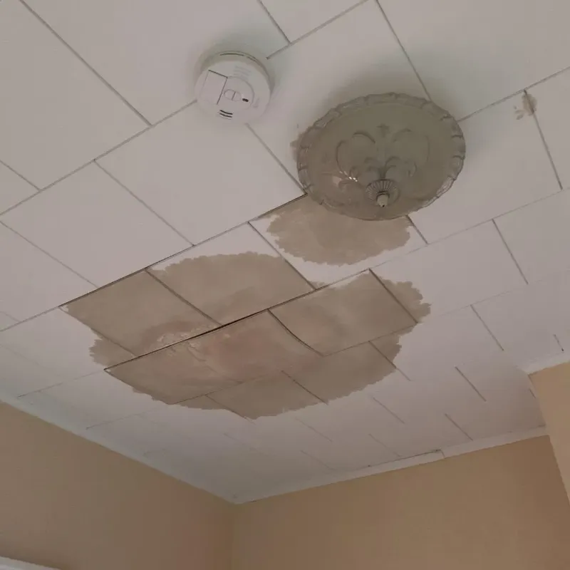 Ceiling Water Damage Repair in Webster, TX